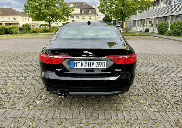 Jaguar XF cena 159900 przebieg: 39500, rok produkcji 2020 z Częstochowa małe 667